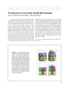 BIOLOGICAL SCIENCES The Structure of the GroEL/GroES/ADP Complex Z. Xu, A. Horwich and P. Sigler (Yale University) The structure of the molecular chaperone GroEL in complex with a partner assembly GroES in the presence o