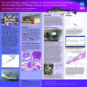 The use of image-analysis software in evaluating spawning strategy and fecundity rates of Walleye pollock, Gadus chalcogrammus Sandi Neidetcher1, Kali Turner1, Ben Williams2 1National  Marine Fisheries Service, Alaska Fi