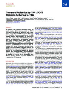 Molecular Cell  Article Telomere Protection by TPP1/POT1 Requires Tethering to TIN2 Kaori K. Takai,1 Tatsuya Kibe,1,2 Jill R. Donigian,1,2 David Frescas,1 and Titia de Lange1,*