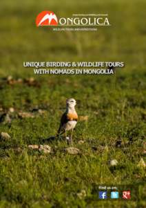 Unique Birding & wildlife tours with nomads in Mongolia Find us on:  ABOUT US