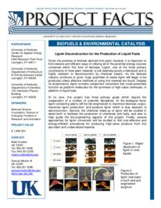 Lignin Deconstruction for the Production of Liquid Fuels