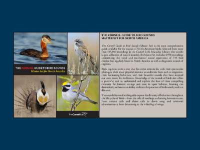 THE CORNELL GUIDE TO BIRD SOUNDS MASTER SET FOR NORTH AMERICA The Cornell Guide to Bird Sounds (Master Set) is the most comprehensive guide available for the sounds of North American birds. Selected from more than 195,00