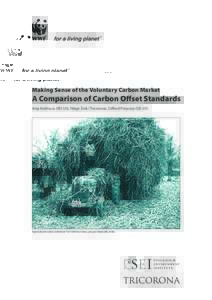 Making Sense of the Voluntary Carbon Market  A Comparison of Carbon Offset Standards Anja Kollmuss (SEI-US), Helge Zink (Tricorona), Clifford Polycarp (SEI-US)  Agricultural waste collection for CDM bio-mass project Mala