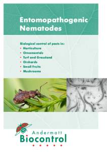 Entomopathogenic Nematodes Biological control of pests in: • Horticulture • Ornamentals • Turf and Grassland