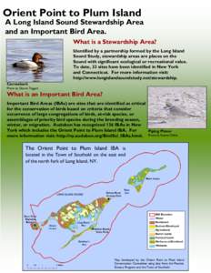 Orient Point to Plum Island  A Long Island Sound Stewardship Area and an Important Bird Area. What is a Stewardship Area? Identified by a partnership formed by the Long Island