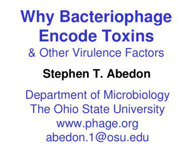 Possible Reasons Why Bacteriophage Encode Bacterial Virulence Factors: