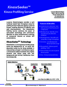 KinaseSeeker  TM Kinase Profiling Service