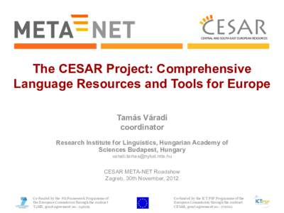 The CESAR Project: Comprehensive Language Resources and Tools for Europe Tamás Váradi coordinator Research Institute for Linguistics, Hungarian Academy of Sciences Budapest, Hungary