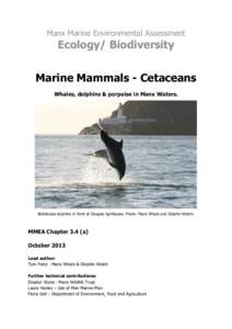 Manx Marine Environmental Assessment  Ecology/ Biodiversity Marine Mammals - Cetaceans Whales, dolphins & porpoise in Manx Waters.