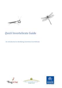Quick Invertebrate Guide An introduction to identifying Australian invertebrates Introduction The Quick Invertebrate Guide was created by Matthew Bulbert and Scott Ginn. Illustrations were prepared by Andrew Howells.