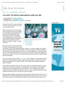 Live wires: The electric superorganism under your feet - life - 22 DecemberNew Scientist:48 PM My New Scientist Home | Life | In-Depth Articles | Back to article