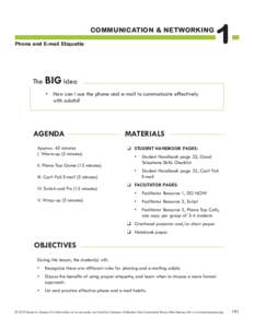 COMMUNICATION & NETWORKING Phone and E-mail Etiquette 1  The BIG Idea
