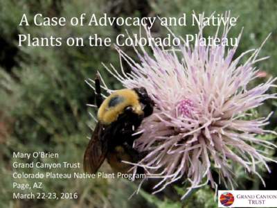 A Case of Advocacy and Native Plants on the Colorado Plateau Mary O’Brien Grand Canyon Trust Colorado Plateau Native Plant Program