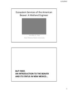 Ecosystem Services of the American Beaver:  A Wetland Engineer