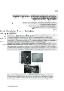 0 6 Digital Signature: A Novel Adaptative Image Segmentation Approach David Freire-Obregón1 , Modesto Castrillón-Santana1 and Oscar Déniz-Suárez2