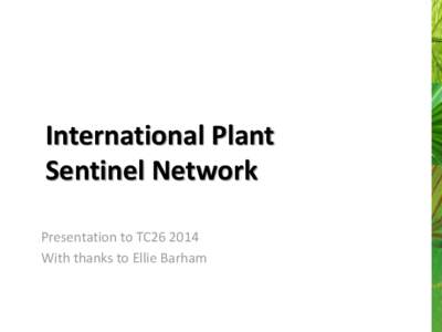 International Plant Sentinel Network Presentation to TC26 2014 With thanks to Ellie Barham  The IPSN aims to provide an early warning system