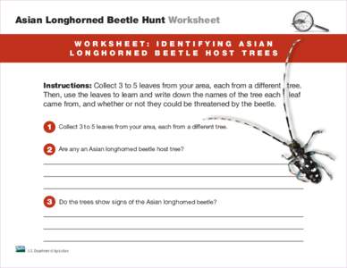 Asian Longhorned Beetle Hunt Worksheet W o r k s h e e t: I d e n t i f y i n g A s i a n Longhorned Beetle host trees Instructions: Collect 3 to 5 leaves from your area, each from a different tree. Then, use the leaves 