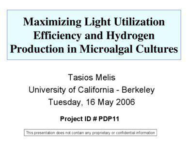 Maximizing Light Utilization Efficiency and Hydrogen Production in Microalgal Cultures