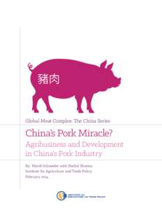 Global Meat Complex: The China Series  China’s Pork Miracle? Agribusiness and Development in China’s Pork Industry By: Mindi Schneider with Shefali Sharma