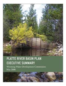 Microsoft Word - 0605_Platte River_ Executive Summary_COVER.doc