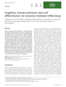 Published online: March 14, 2015  Article Smg6/Est1 licenses embryonic stem cell differentiation via nonsense-mediated mRNA decay