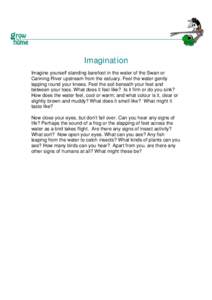 Microsoft Word - Imagination Swan _soil level_.doc