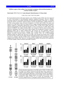 Characterization of a novel vasopressin/oxytocin superfamily peptide and its receptor from an ascidian, Ciona intestinalis