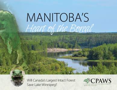 Manitoba’s  Heart of the Boreal Will Canada’s Largest Intact Forest Save Lake Winnipeg?