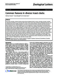 Common features in diverse insect clocks