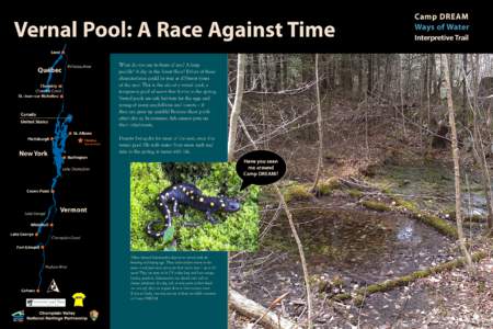 Vernal Pool: A Race Against Time Sorel Richelieu River  Québec