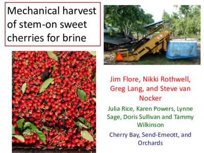 Mechanical harvest of stem-on sweet cherries for brine Jim Flore, Nikki Rothwell, Greg Lang, and Steve van