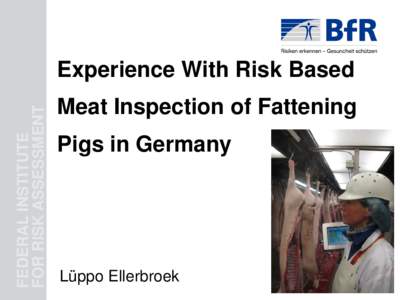 FEDERAL INSTITUTE FOR RISK ASSESSMENT Experience With Risk Based Meat Inspection of Fattening Pigs in Germany