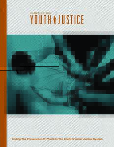 Ending The Prosecution Of Youth In The Adult Criminal Justice System  THE CAMPAIGN FOR YOUTH JUSTICE The Campaign for Youth Justice (CFYJ) is a national initiative focused entirely on ending the practice of prosecuting,