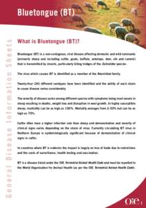 General Disease Information Sheets  Bluetongue (BT) What is Bluetongue (BT)? Bluetongue (BT) is a non-contagious, viral disease affecting domestic and wild ruminants (primarily sheep and including cattle, goats, buffalo,