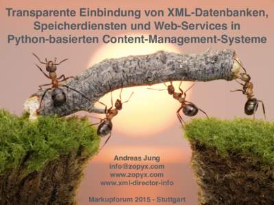 Transparente Einbindung von XML-Datenbanken, Speicherdiensten und Web-Services in   Python-basierten Content-Management-Systeme . .