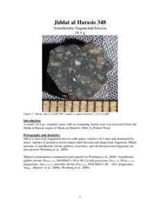 Jiddat al Harasis 348 Anorthositic fragmental breccia 18.4 g Figure 1: Image taken of JaH 348; sample is approximately 5 cm in width.