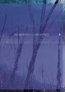 Deliberately lit bushfires  5 Volume II: Fire Preparation, Response and Recovery