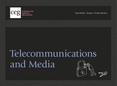 Asia-Pacific | Europe | North America  Telecommunications and Media  CEG experts provide advice to some