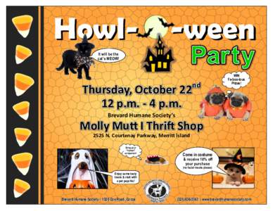 Howl-  -ween It will be the cat’s MEOW!