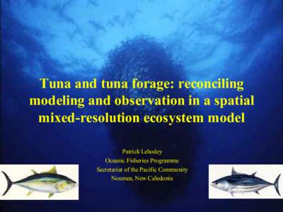 Tuna and tuna forage: reconciling modeling and observation in a spatial mixed-resolution ecosystem model Patrick Lehodey Oceanic Fisheries Programme Secretariat of the Pacific Community