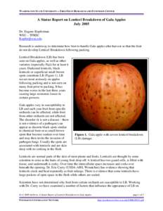A Status Report on Lenticel Breakdown of Gala Apples, July 2005