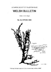 BOTANICAL SOCIETY OF THE BRITISH ISLES  WELSH BULLETIN Editor: R. D. Pryce  No. 58, SPRING 1995