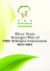 Three Years Strategic Plan of PHE Ethiopia Consortium  1 2