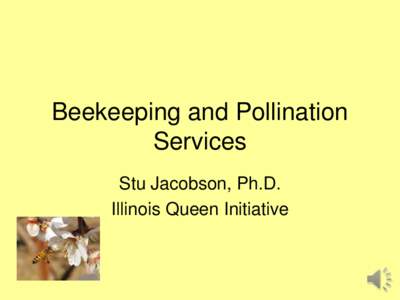 Beekeeping and Pollination Services Stu Jacobson, Ph.D. Illinois Queen Initiative  Honey bees are the primary