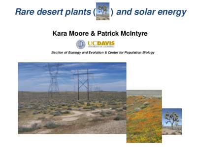 Rare desert plants (  ) and solar energy Kara Moore & Patrick McIntyre Section of Ecology and Evolution & Center for Population Biology