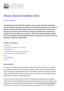 African American Soldiers (USA) By Pellom McDaniels III The beginning of the First World War signaled a rise in tensions within the United States over the meaning of democracy and the role of the democratic nation-state 