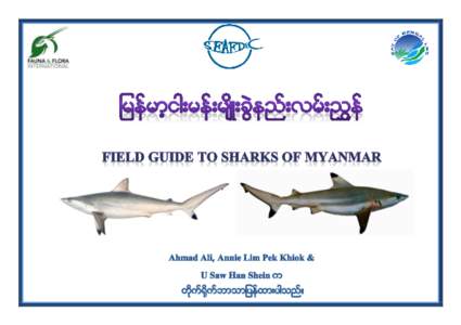 Elasmobranchii / Fish / Sharks / Ichthyology / Batoidea / Southeast Asian Fisheries Development Center / Southeast Asia / Zoology