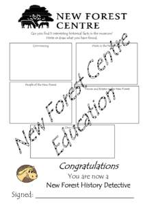 History Detective Certificate web