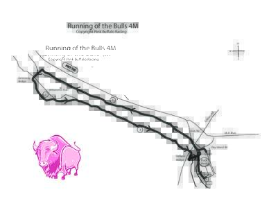 Running of the Bulls 4M Copyright Pink Buffalo Racing N W