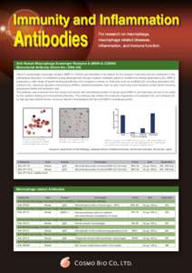 Immunity and Inflammation  Antibodies For research on macrophage, macrophage related diseases,